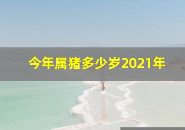 今年属猪多少岁2021年