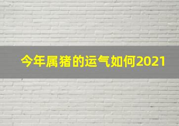 今年属猪的运气如何2021