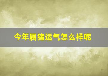 今年属猪运气怎么样呢