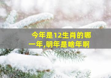 今年是12生肖的哪一年,明年是啥年啊