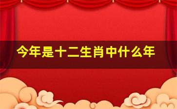 今年是十二生肖中什么年