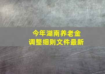 今年湖南养老金调整细则文件最新