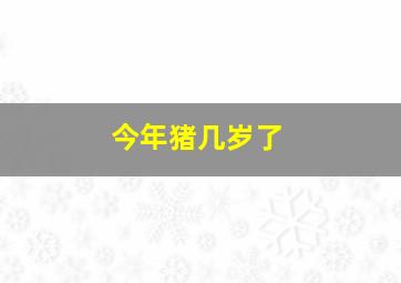 今年猪几岁了