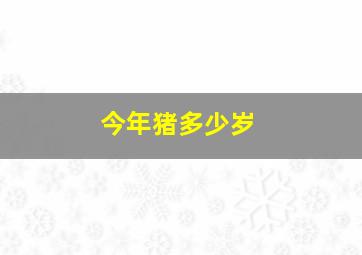 今年猪多少岁