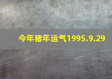 今年猪年运气1995.9.29