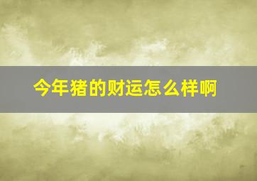 今年猪的财运怎么样啊