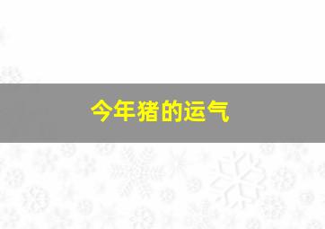 今年猪的运气