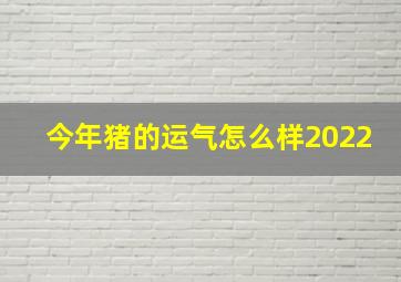 今年猪的运气怎么样2022