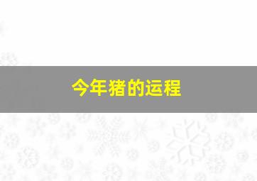 今年猪的运程