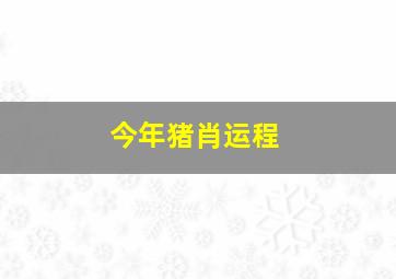 今年猪肖运程