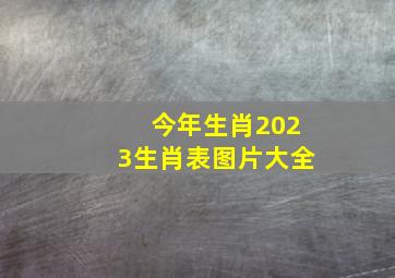 今年生肖2023生肖表图片大全