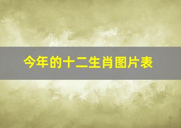 今年的十二生肖图片表