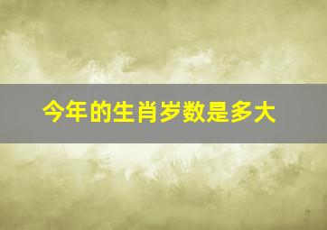 今年的生肖岁数是多大