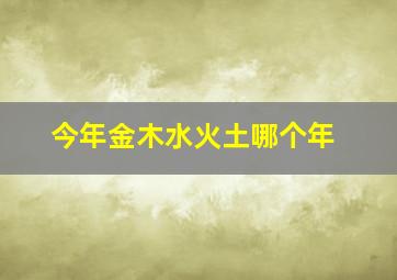 今年金木水火土哪个年