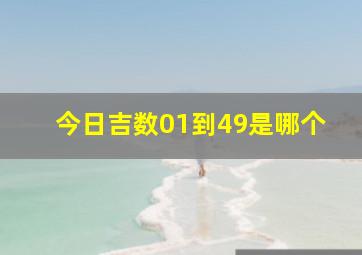 今日吉数01到49是哪个