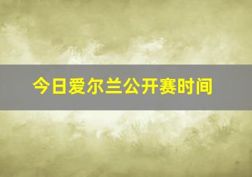 今日爱尔兰公开赛时间