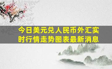 今日美元兑人民币外汇实时行情走势图表最新消息