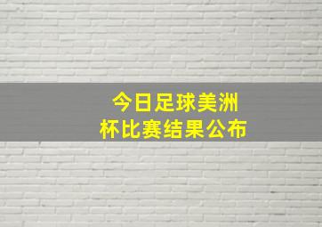 今日足球美洲杯比赛结果公布