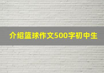 介绍篮球作文500字初中生