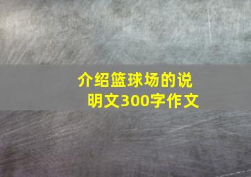 介绍篮球场的说明文300字作文