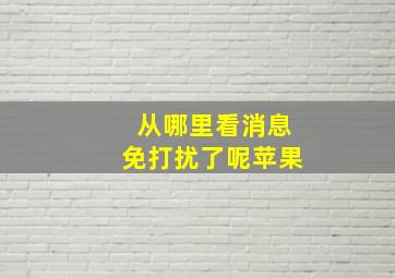 从哪里看消息免打扰了呢苹果