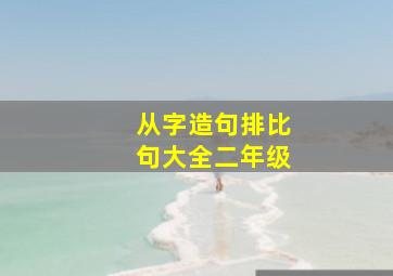 从字造句排比句大全二年级