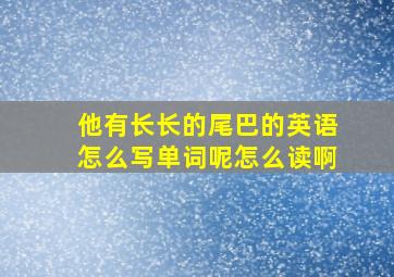 他有长长的尾巴的英语怎么写单词呢怎么读啊