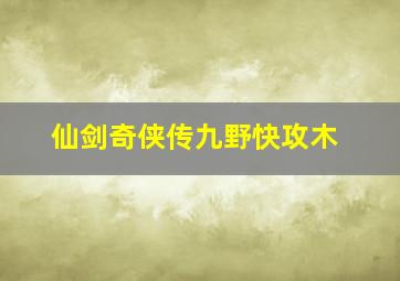 仙剑奇侠传九野快攻木