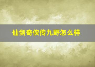 仙剑奇侠传九野怎么样