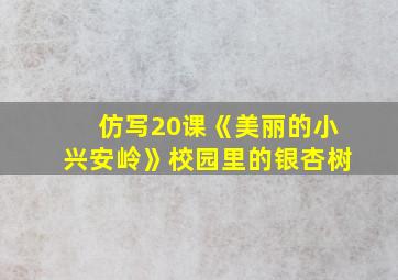 仿写20课《美丽的小兴安岭》校园里的银杏树