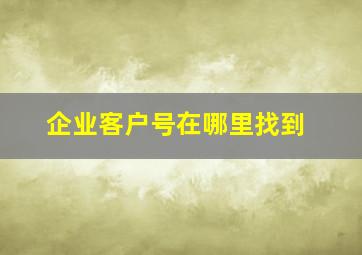 企业客户号在哪里找到