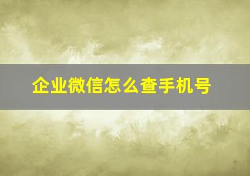 企业微信怎么查手机号