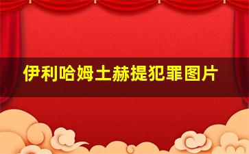 伊利哈姆土赫提犯罪图片