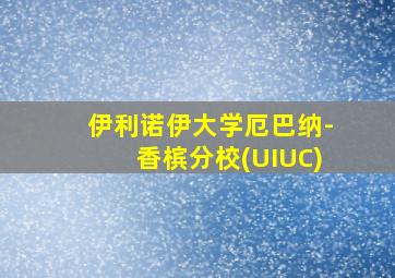 伊利诺伊大学厄巴纳-香槟分校(UIUC)