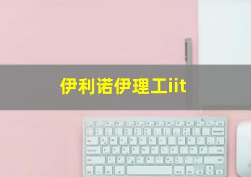 伊利诺伊理工iit