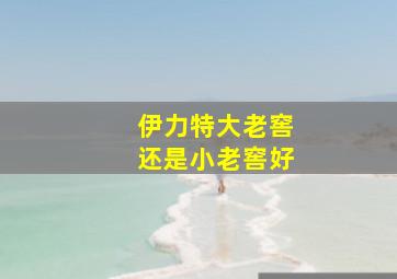 伊力特大老窖还是小老窖好