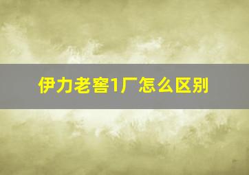 伊力老窖1厂怎么区别