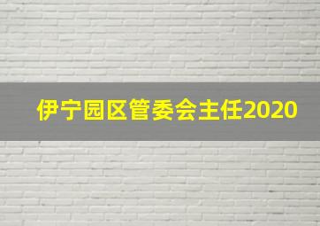 伊宁园区管委会主任2020