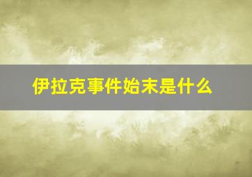 伊拉克事件始末是什么