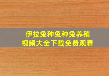 伊拉兔种兔种兔养殖视频大全下载免费观看