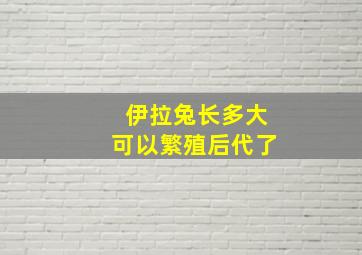 伊拉兔长多大可以繁殖后代了