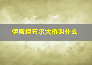 伊斯坦布尔大桥叫什么