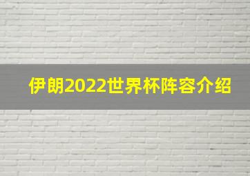 伊朗2022世界杯阵容介绍