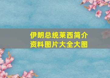 伊朗总统莱西简介资料图片大全大图