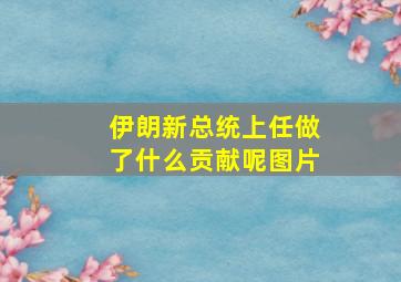 伊朗新总统上任做了什么贡献呢图片