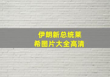 伊朗新总统莱希图片大全高清