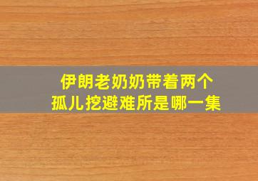 伊朗老奶奶带着两个孤儿挖避难所是哪一集