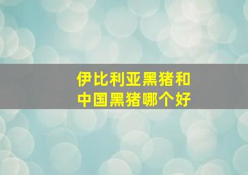 伊比利亚黑猪和中国黑猪哪个好