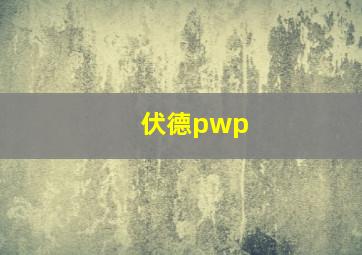 伏德pwp