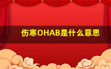 伤寒OHAB是什么意思